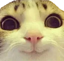 Emoji 5_0w0