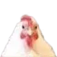Emoji 68_chicken