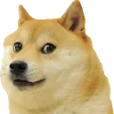 Emoji doge