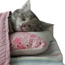 Emoji piche