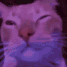 Emoji Vibecat