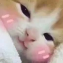 Emoji 59_Blushed
