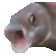 Emoji 68_fish
