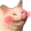 Emoji Winnie
