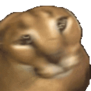 Emoji 5_floppashake