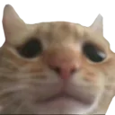 Emoji 5_bully