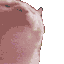 Emoji catjam