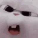 Emoji whut