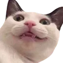 Emoji crying