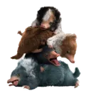 Emoji nifnif