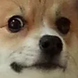 Emoji 2759cuteassdog