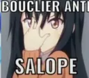 Emoji WK_bouclierAntiSalope