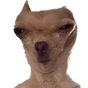 Emoji dog