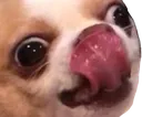 Emoji lick