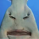 Emoji emoji_7