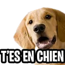 Emoji tes1chien