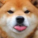 Emoji DOG