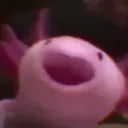 Emoji happyaxolotl