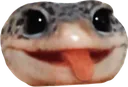 Emoji EmoteGecko