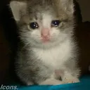 Emoji 89d8b788a3e8ffb2769d816f5f088536
