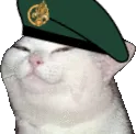 Emoji cat