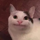 Emoji h3h3