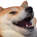 Emoji PR_DogLul