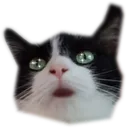 Emoji wow