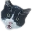 Emoji waitno