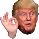 Emoji trump_ok