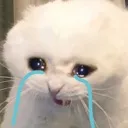 Emoji sadcat