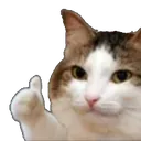 Emoji thumbcat