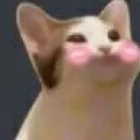 Emoji catshy