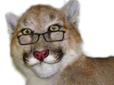 Emoji NL_saadhein
