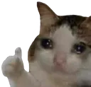 Emoji elyciann_sad