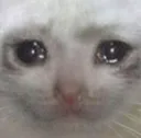 Emoji elyciann_sad2