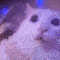 Emoji 9760androcat