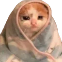 Emoji CatCry