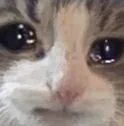 Emoji emoji_2