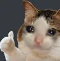 Emoji emoji_4