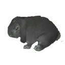Emoji rabbit_danger