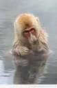 Emoji emoji_10