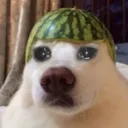 Emoji sad_melondog