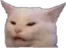 Emoji FA_cat