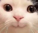 Emoji happyTom