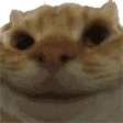 Emoji YesYes