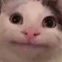 Emoji __