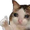 Emoji ChatOui