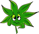 Emoji 9SeakLeaf