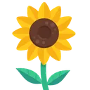 Emoji sunfood